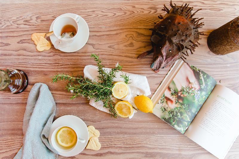 The Nest By Cooking And Nature アルヴァドス エクステリア 写真